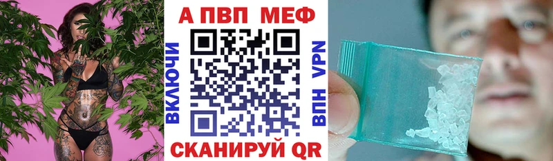 APVP VHQ  Губкинский 