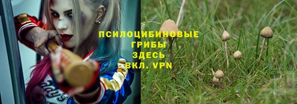 а пвп мука Арсеньев